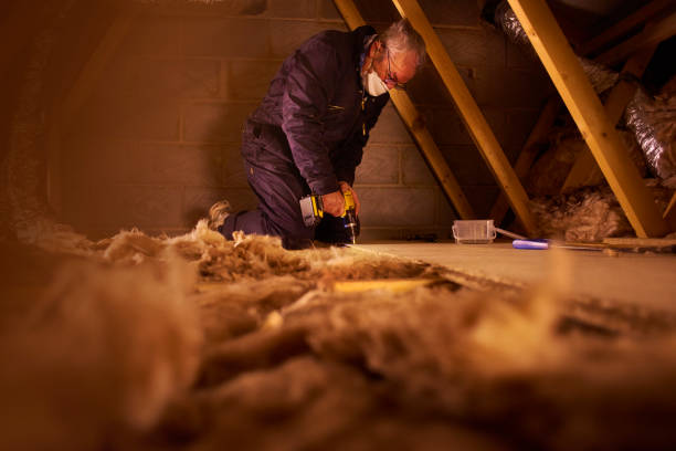 Insulation Replacement Services in Parkersburg, IA